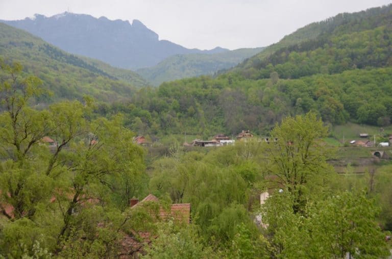 Romania, Cozia Monastery – nature, Apr. 2014 (Valcea)