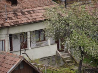 ルーマニア、木の修道院－屋根 2014年4月