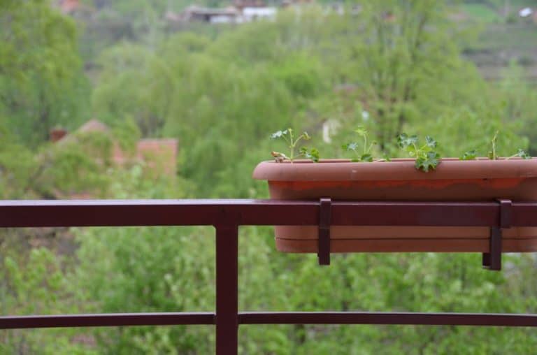 Romania, Cozia Monastery – verandah, Apr. 2014 (Valcea)