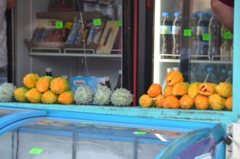 Crimea, Ai-Petri – fruits, July 2013 (Crimea)