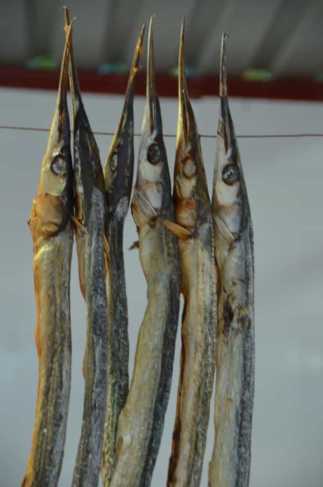 クリミア半島、グルズフ－魚 2013年7月 (クリミア半島)