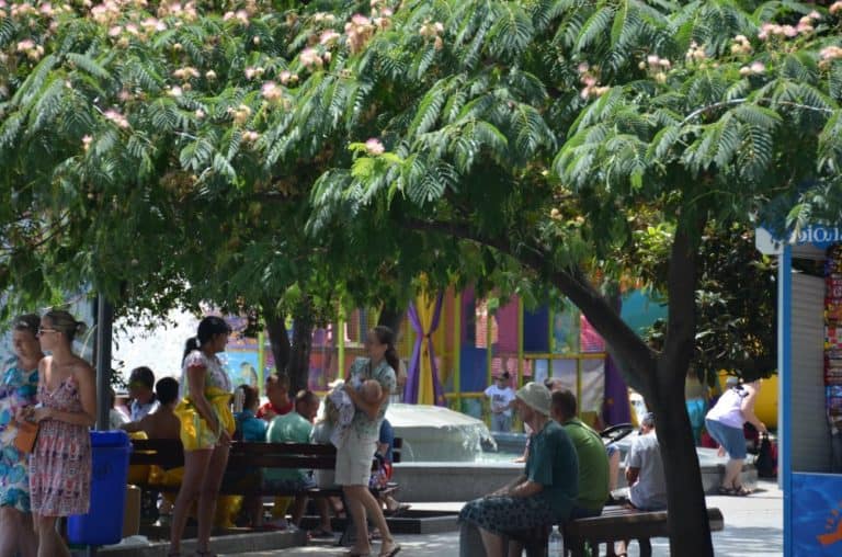 Ukraine, Yalta – shade, July 2013 (Yalta)