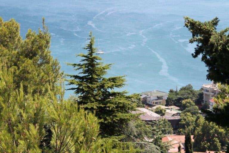 Ukraine, Yalta – pattern on the sea July 2013 (Yalta)