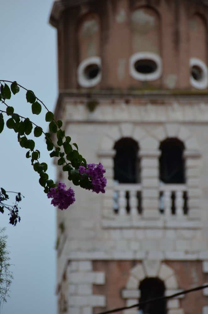 Croatia, Zadar (33) (ザダル)