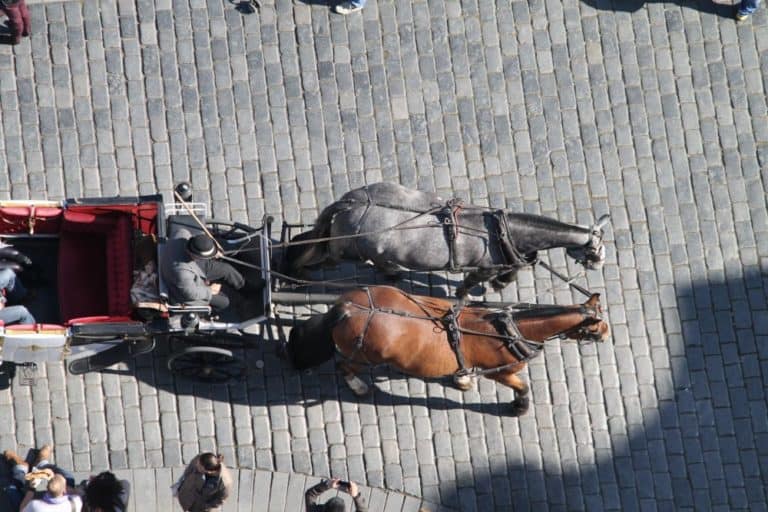 Czech, Prague – carriage, Sept.2013 (Prague)