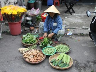 ベトナム、ダナン―髪飾り 2015年1月