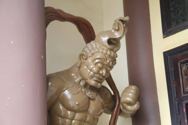 Vietnam, Da Nang – fierce, Jan.2015 (Da Nang)