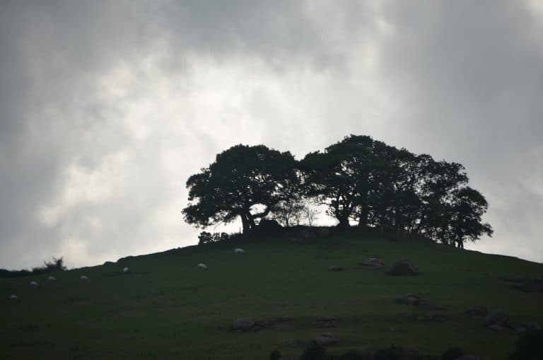 Dartmoor (15) (ダートムーア)