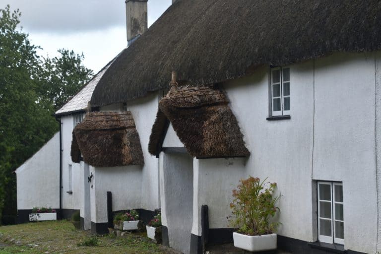 Dartmoor (17) (ダートムーア)