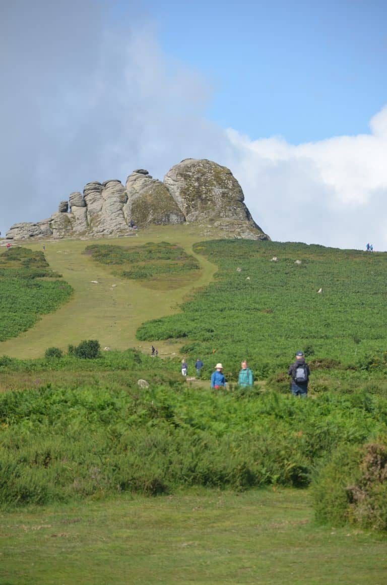Dartmoor (22) (ダートムーア)