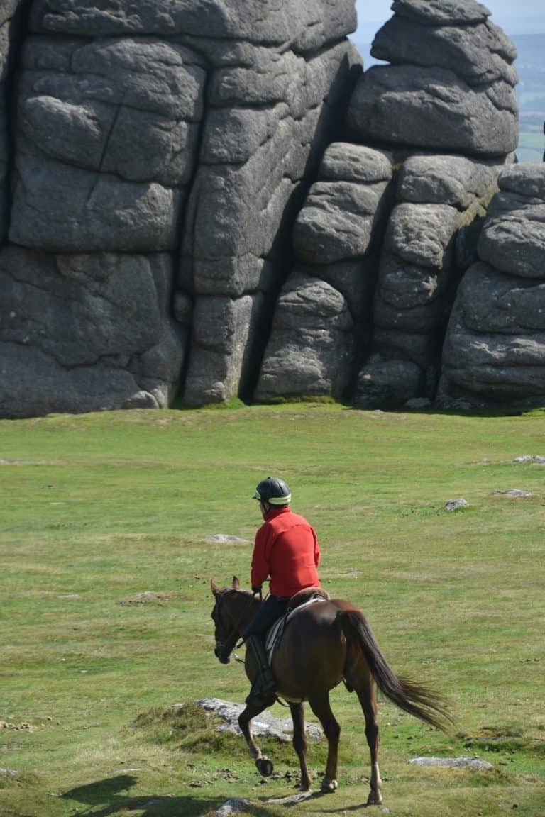 Dartmoor (37) (ダートムーア)