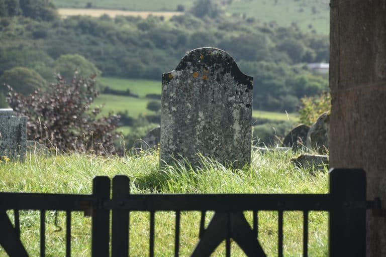 Dartmoor (52) (ダートムーア)