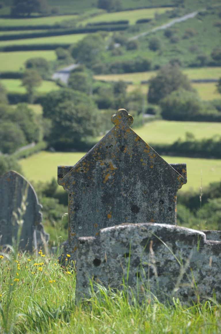 Dartmoor (56) (ダートムーア)