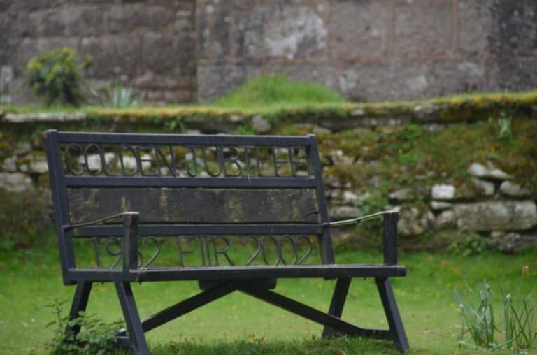 Widecombe – bench, May 2015 (Dartmoor)
