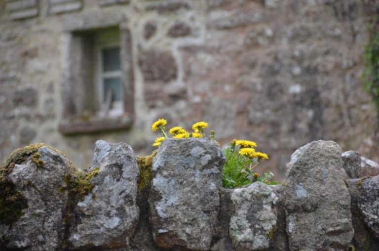 Il villaggio di Widecombe