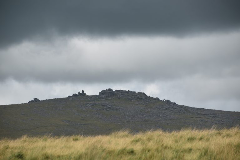 Dartmoor (59) (ダートムーア)
