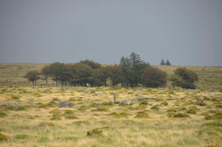 Dartmoor (60) (ダートムーア)
