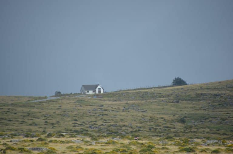 Dartmoor (63) (ダートムーア)