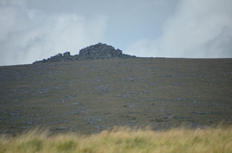 Dartmoor (66) (Dartmoor)