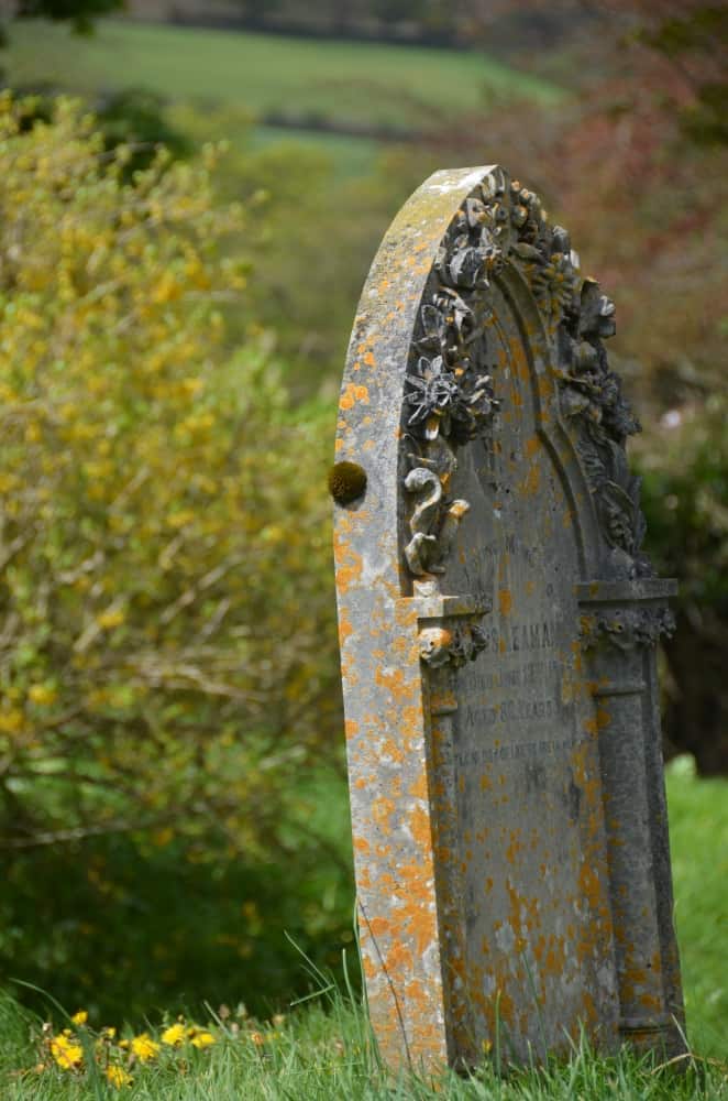 Widecombe – tombstone, May 2015 (Dartmoor)