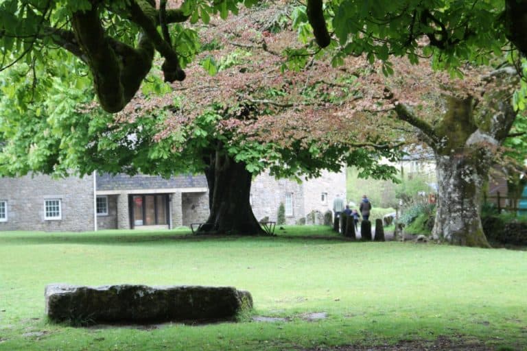 ウィドコム－村の公園 2015年5月 (ダートムーア)