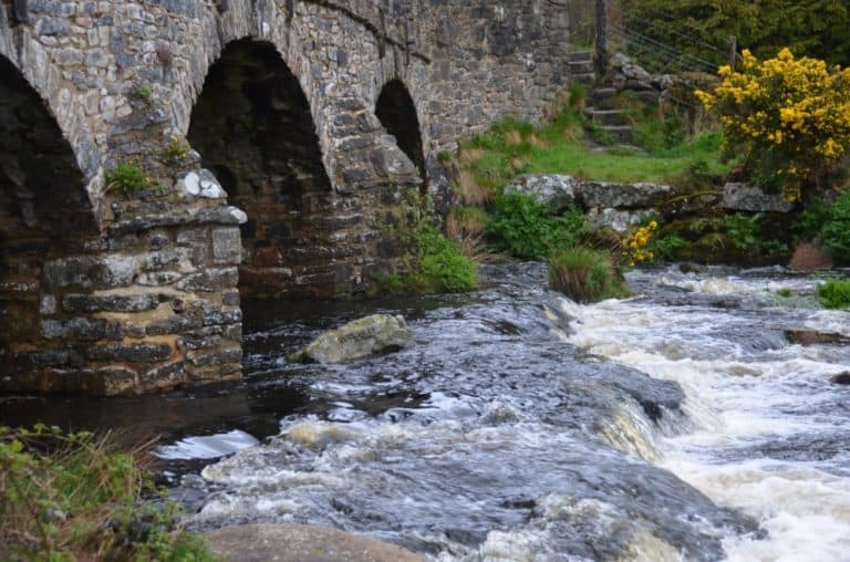 Postbridge – water, May 2015 (Dartmoor)