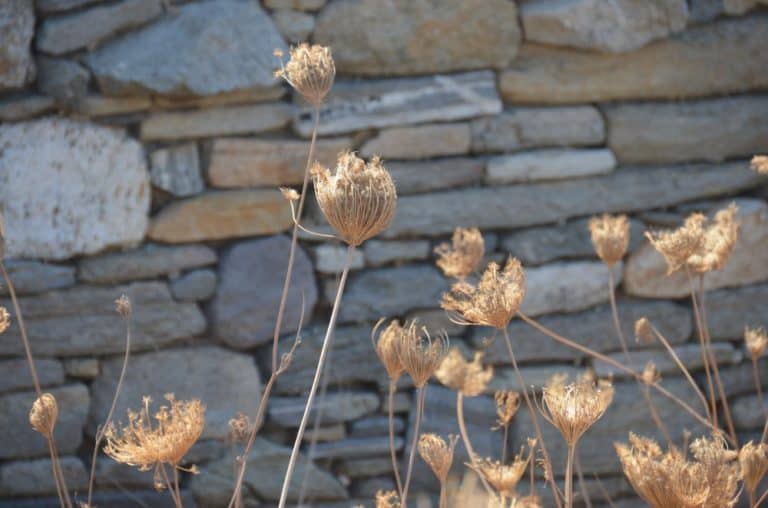 Grecia, Delos – secco, settembre 2013