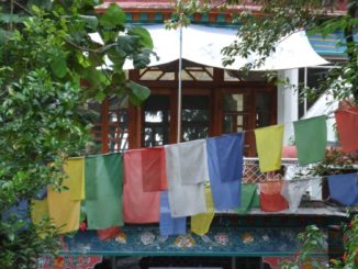 India, Dharamsala – lapide, set. 2006