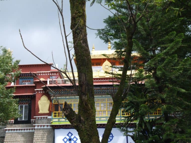 India, Dharamsala – tree and building, Sept.2006 (Dharamsala)
