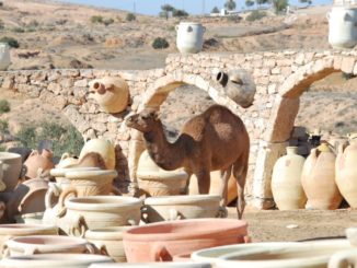 チュニジア、ジェルバ－壺の中のアリ爺さん 2008年12月