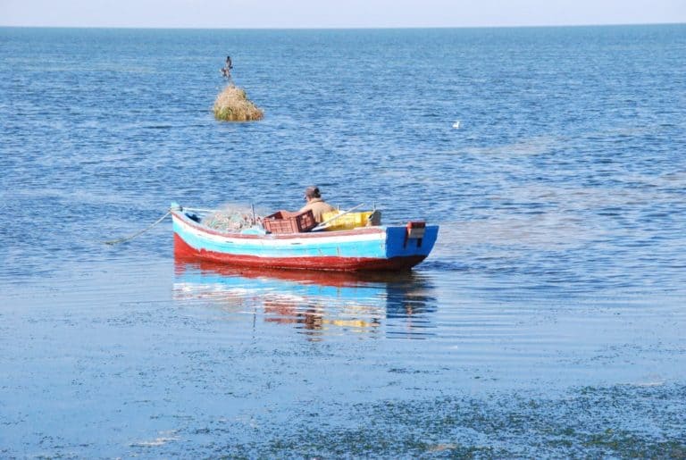 Tunisia, Djerba – fishing, Dec.2008 (Djerba)