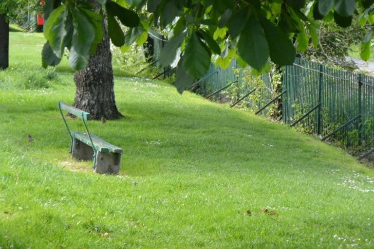 Dorchester – bench in green, May 2015 (Dorset)
