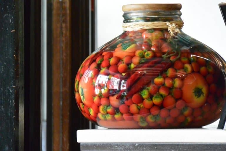 Dorchester – jar, May 2015 (Dorset)