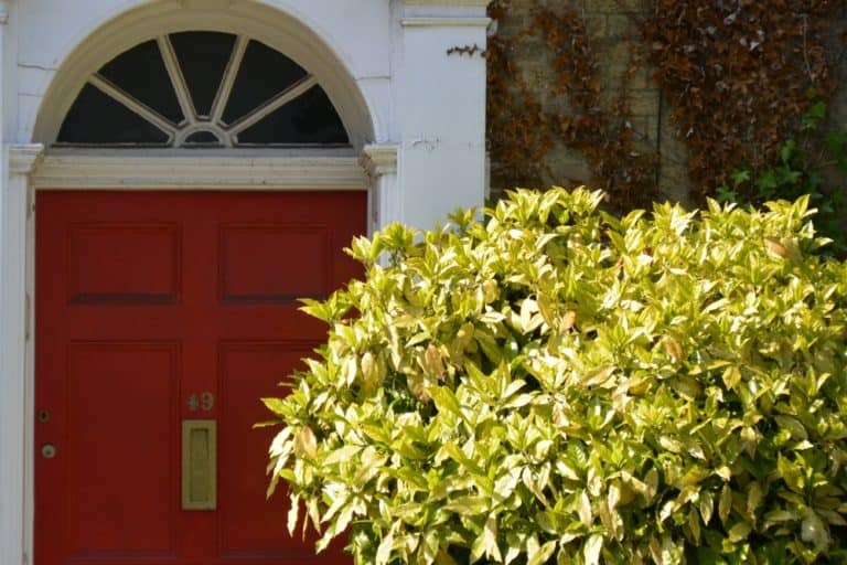 Dorchester – red door, May 2015 (Dorset)