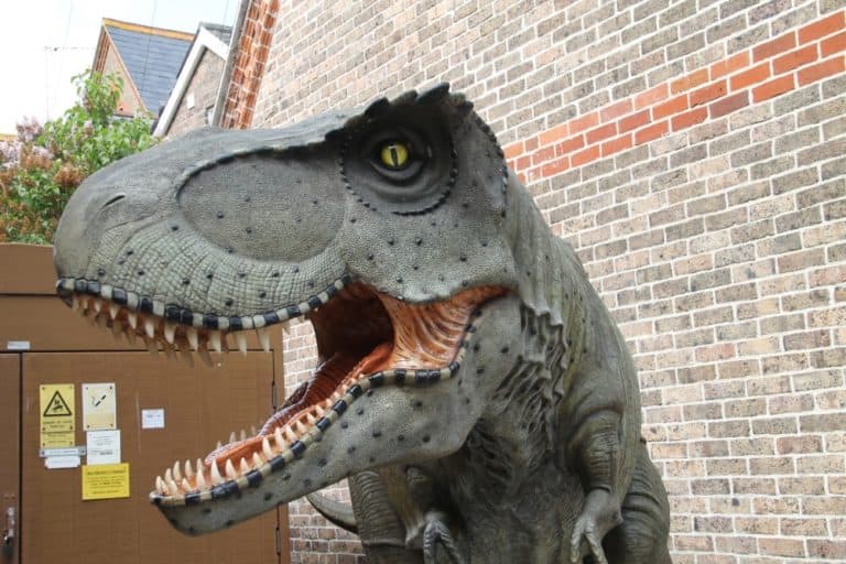 Dorchester – dinosaur, May 2015 (Dorset)