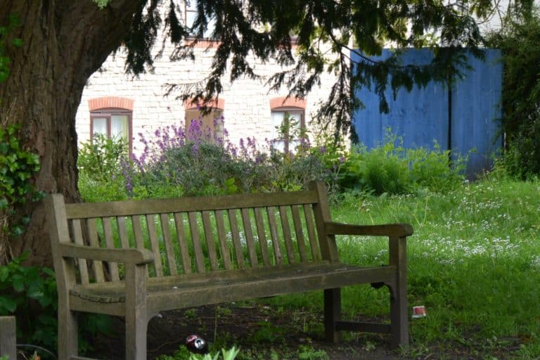 Dorchester – bench, May 2015 (Dorset)