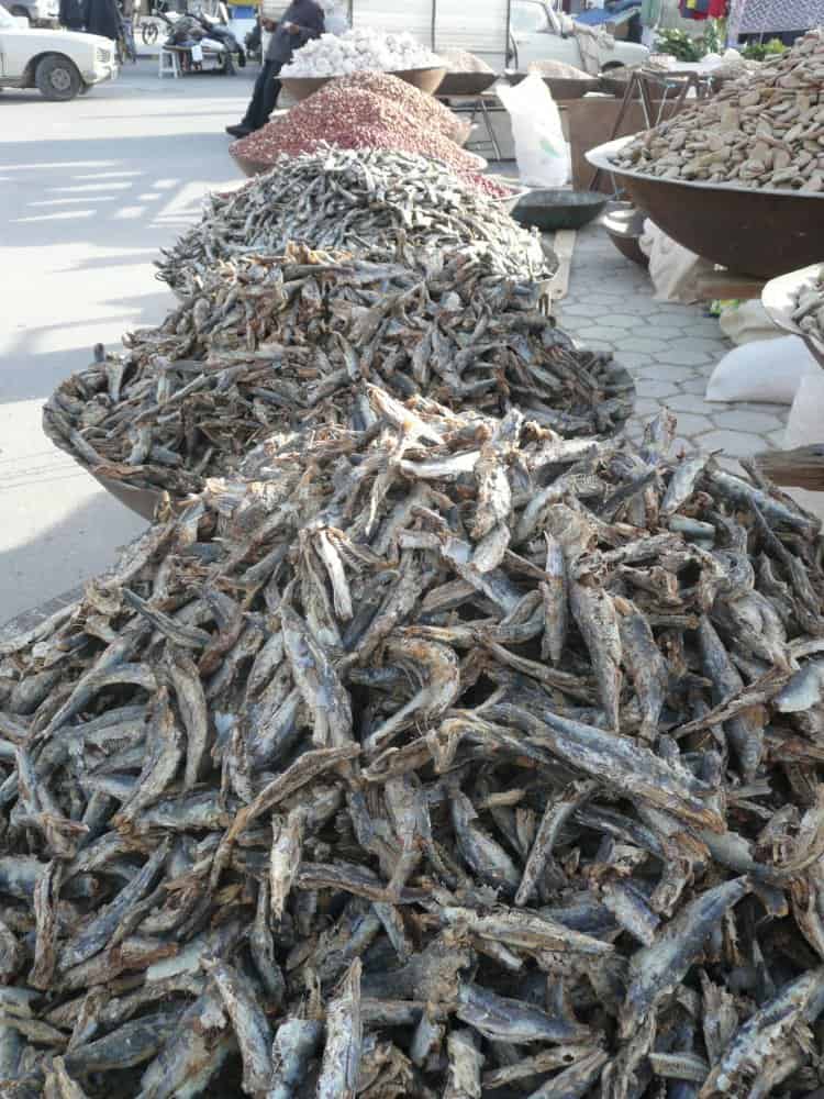 チュニジア、ドゥーズ－小魚 2008年12月 (ドゥーズ)
