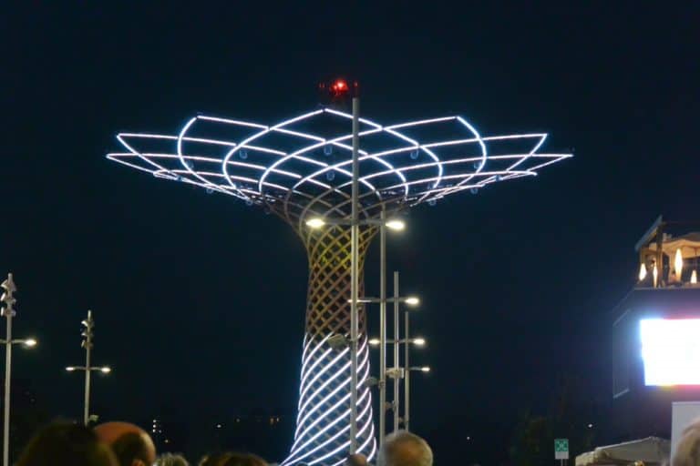 EXPO – Tree of Life at night, Sept.2015 (Milán)