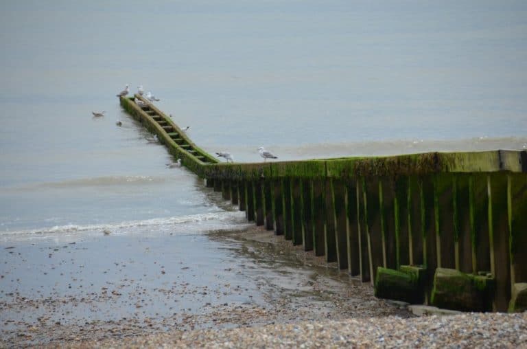 England, Eastbourne – to the sea, July 2014 (Eastbourne)