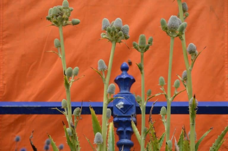 England, Eastbourne – orange background, July 2014 (Eastbourne)