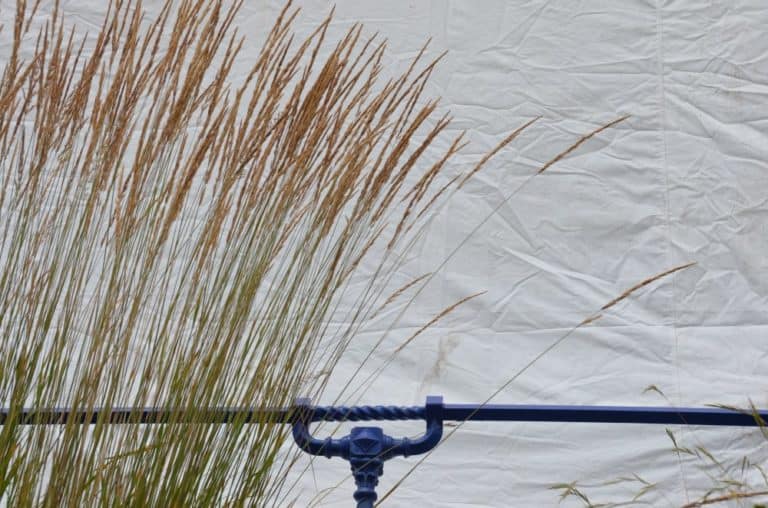 England, Eastbourne – white background, July 2014 (Eastbourne)