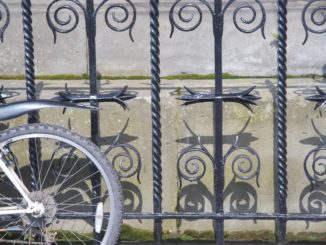 Scotland, Edinburgh – brown windows, 2010