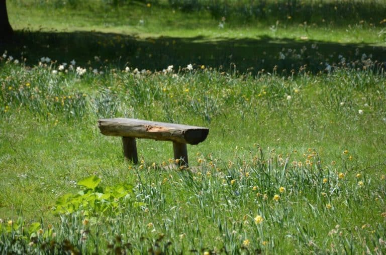 Inghilterra, Chatsworth – panchina, maggio 2013