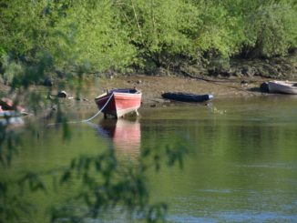 barca-chester-fiume