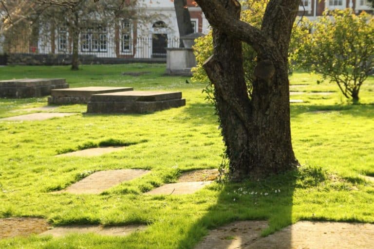 Inghilterra, Eton  – luce sull’erba, mar.2014 (Windsor)
