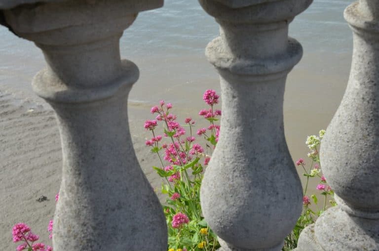 Inghilterra, Rochester – fiori dietro la ringhiera, giugno 2013