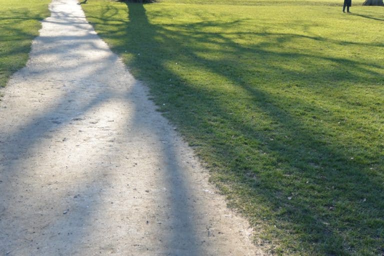St.Albans – ombra sulla strada, Mar.2015