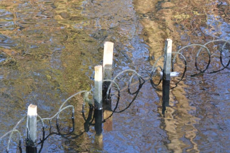 St.Albans – steccato nell’acqua, Mar.2015