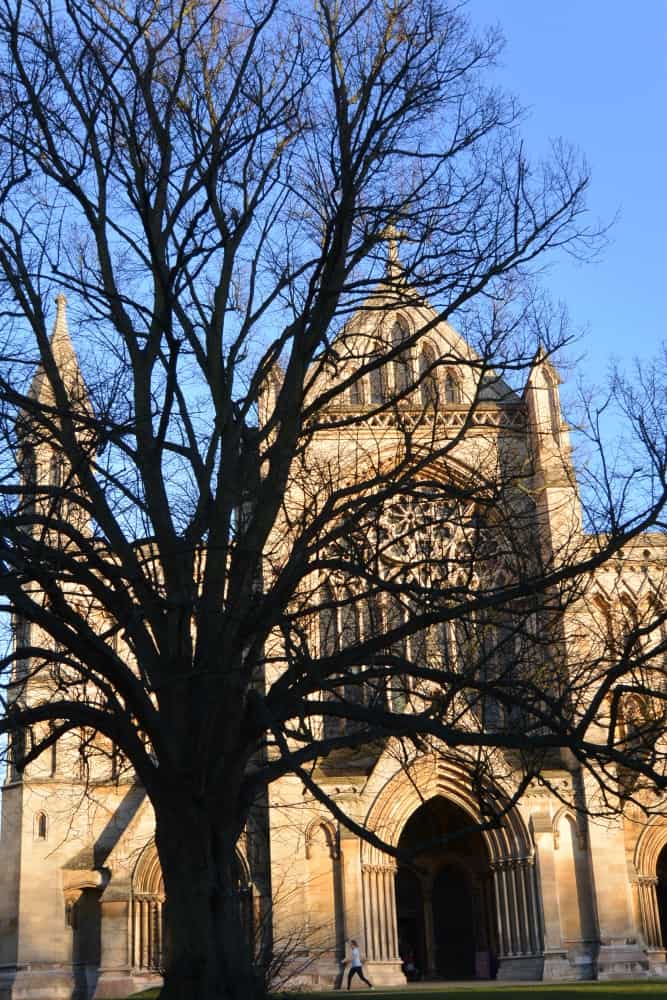 St.Albans – profilo di un albero, Mar.2015