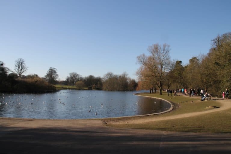 St.Albans – stagno nel parco, Mar.2015